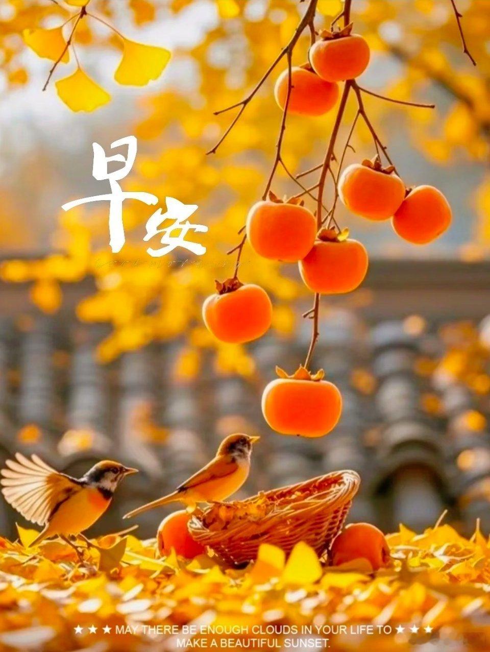 秋叶落下不是结束，是为了明年的新生，你告别过去也不是遗憾，是给成长腾出新的空间。