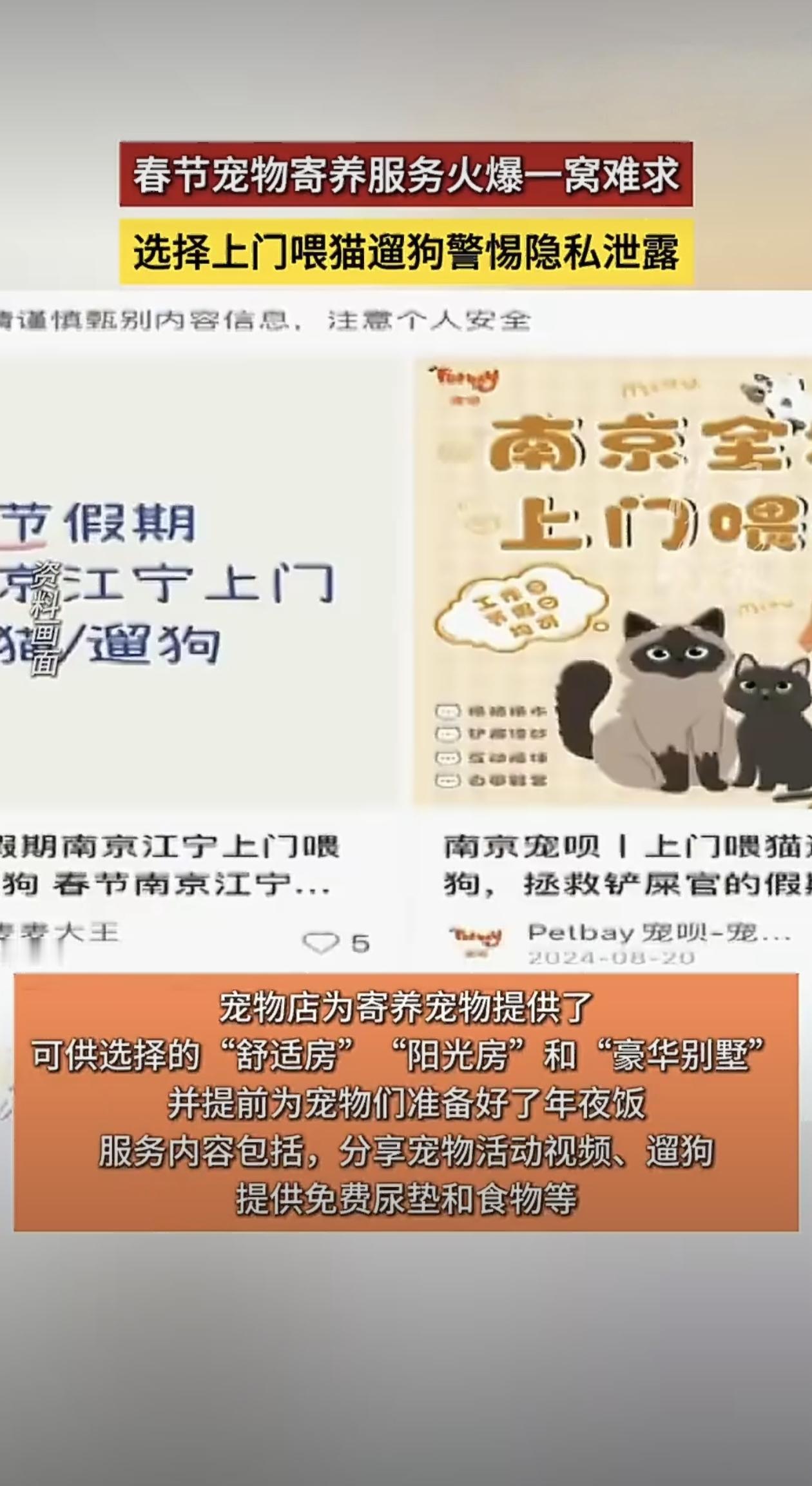 杭州有个姑娘因为上门喂猫两周赚了七千多块钱，这事儿在朋友圈和社交平台都传开了。不