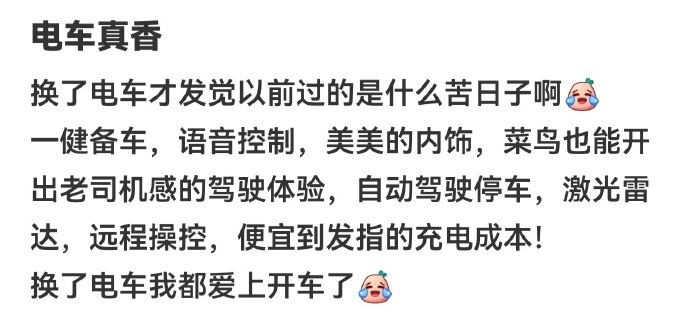 人一旦拥有了电车 不用关心油价涨幅不用关注限号调整有高阶辅助驾驶的话连堵车都不用