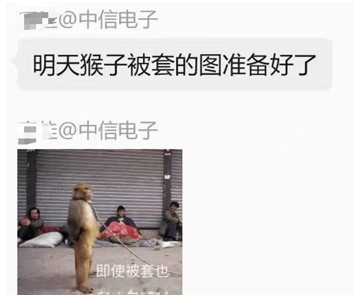 论大A的贤者时间有多抽象🙉 