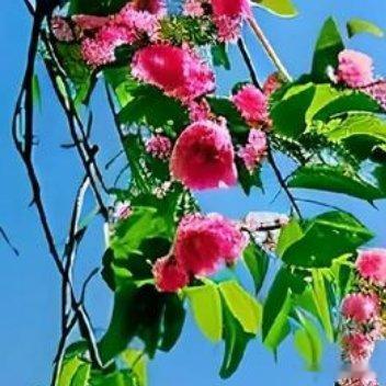 看不见的伤痕最疼，流不出的眼泪最委屈。心酸，一个人慢慢品尝就好；难过，一个人承受