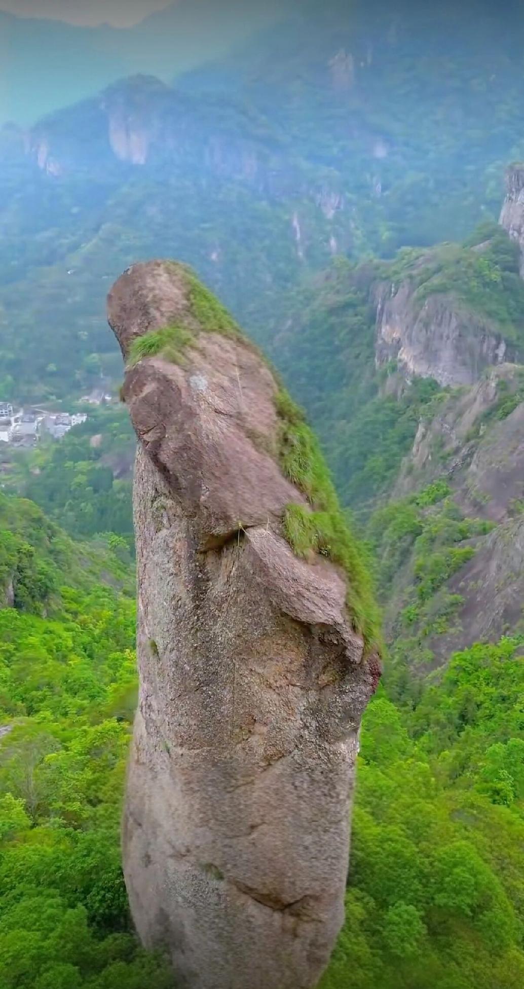 不必去远方寻找净土，也不必向他人乞求安宁。当你不争不辨，坦然拥抱生命的每一个当下