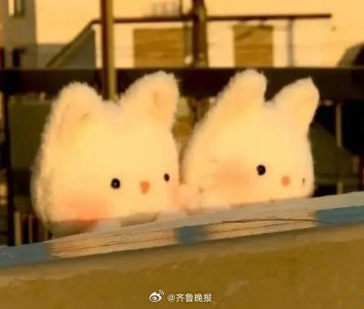 #早安# 只有大大小小的期待，生活才不会百无聊赖