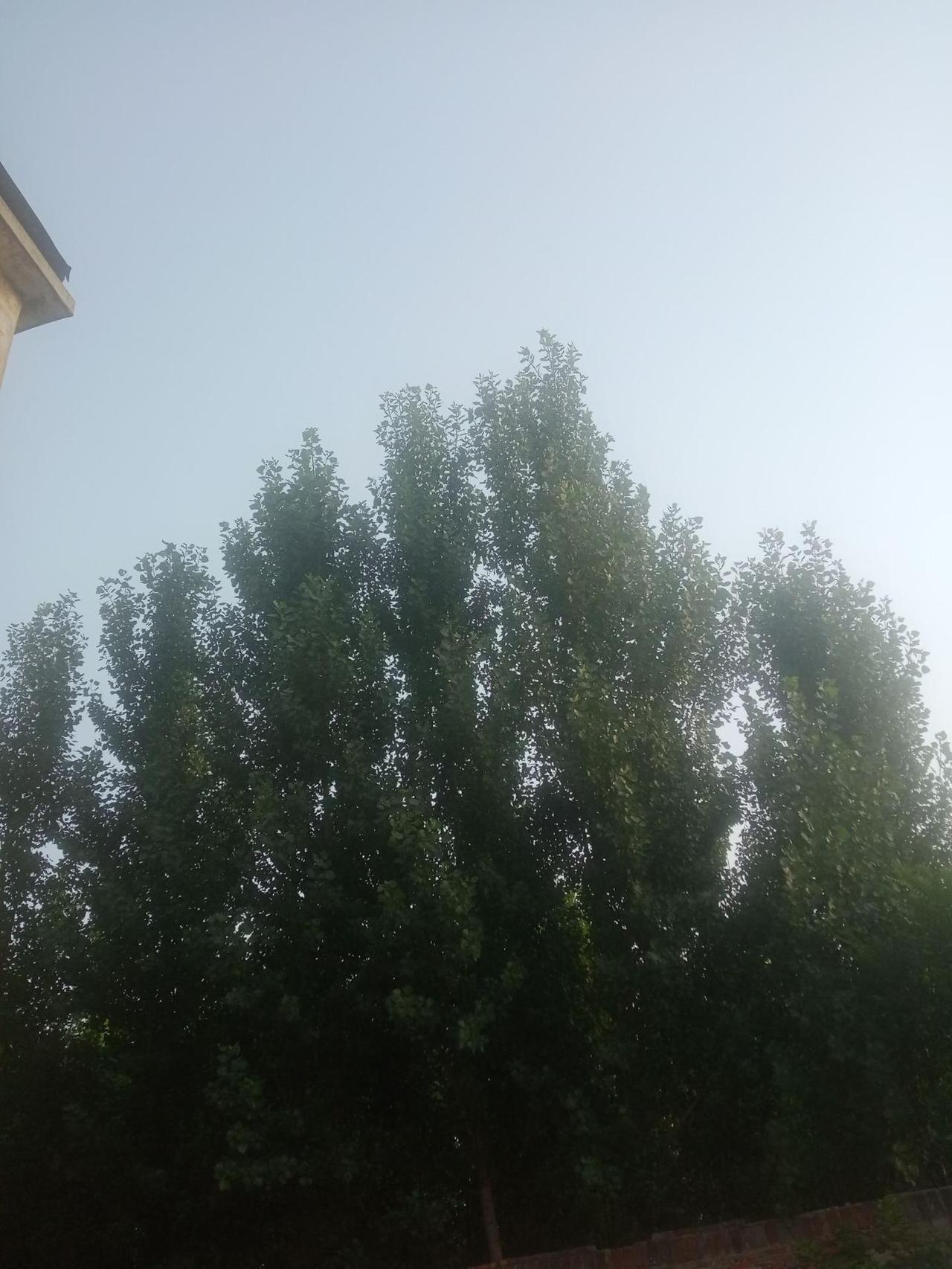 革命与战争的本质是什么呢？







革命是先自新后输出，有进步意义
战争只