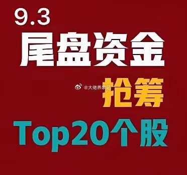 2026年9月3日 A股尾盘30分钟抢筹前20:1. 黄河旋风｜12.24亿｜超