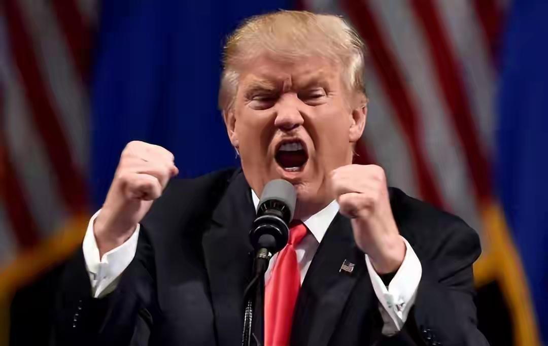 特朗普这是又出幺蛾子“不靠谱就是不靠谱”，居然想把英法踢出联合国“五常”，让印日