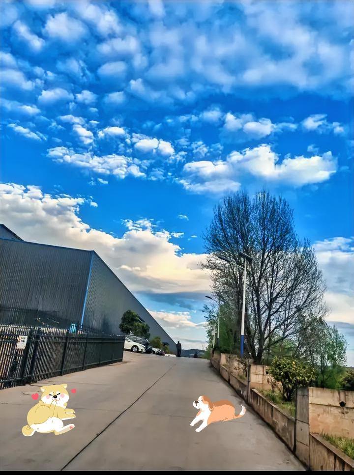 那天在云南，抬头一看，天是那种透亮的蓝，像被洗过一样。

天上飘着好多碎碎的白云