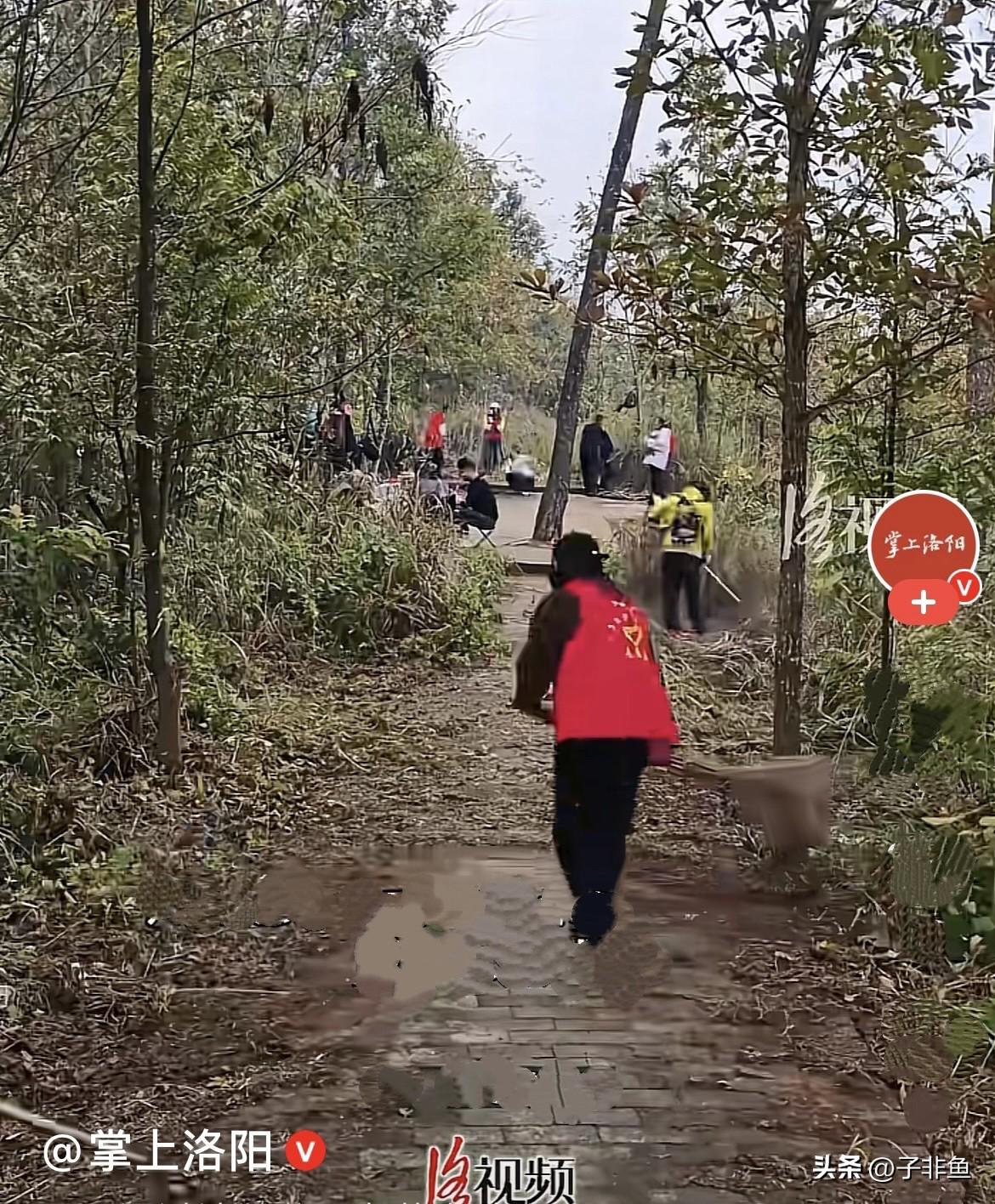 贵州黔南西林先生去年开始每天跑步减肥，跑步的时候路过一个公园，发现公园内杂草丛生