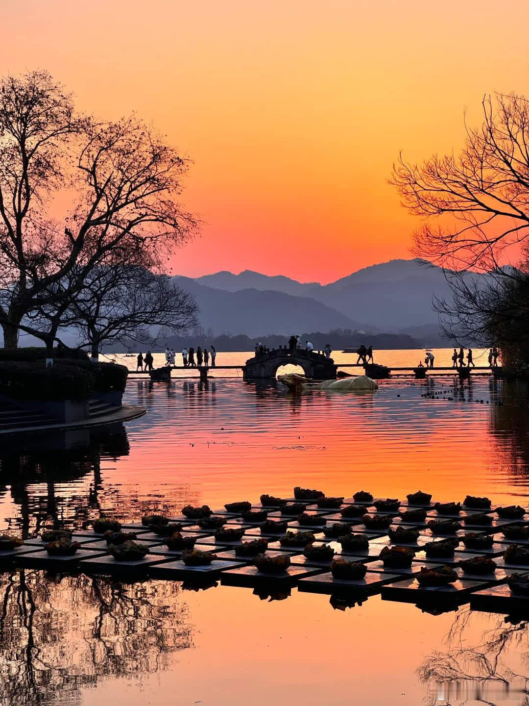 1.13西湖落日已经美到next level……live图 