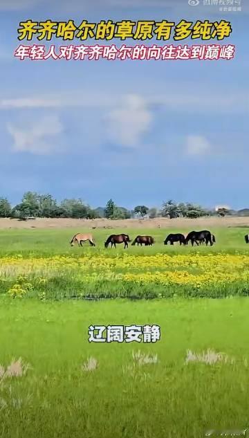 齐齐哈尔的草原有多纯净 齐齐哈尔这片草原的纯净感直击人心，清冽空气搭配无边草地，