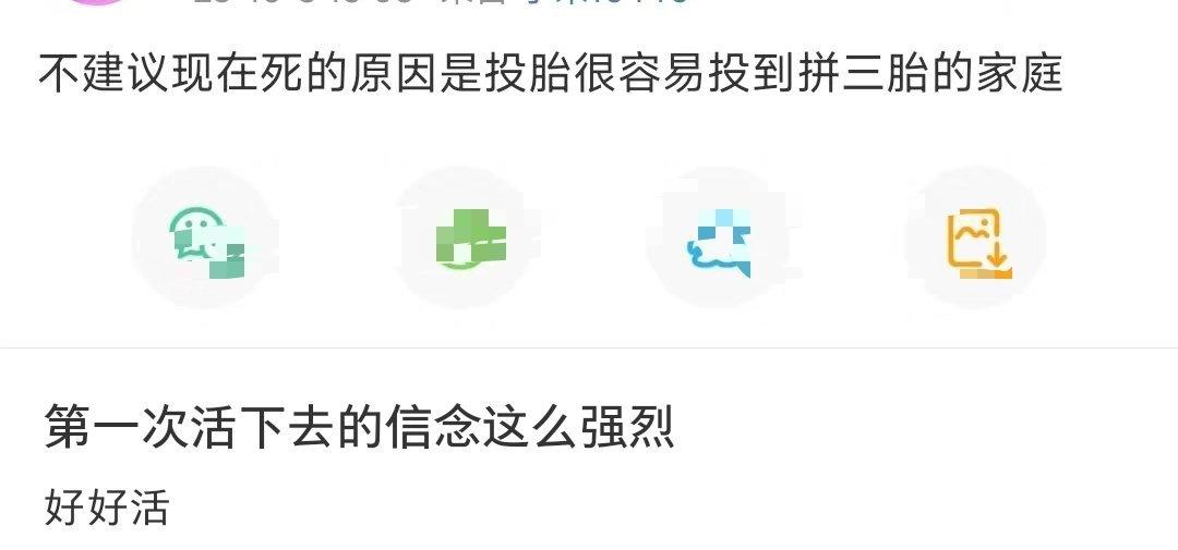 下辈子不要做人了，我要去土耳其当受尽荣宠的猫猫，或者做峨眉山的猴子，平等地扇每一