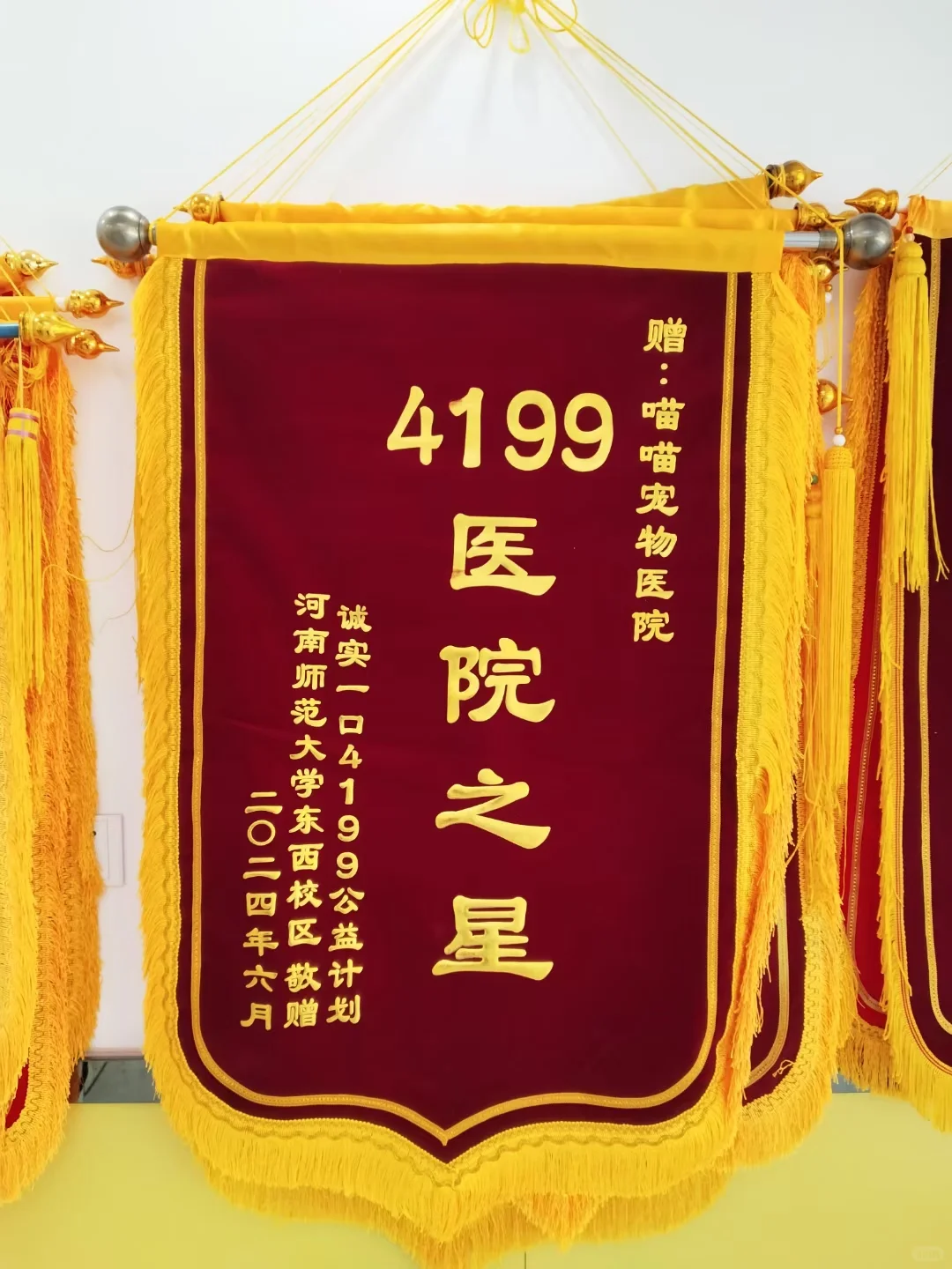 喵喵宠物医院获得4199活动医院之星啦！！