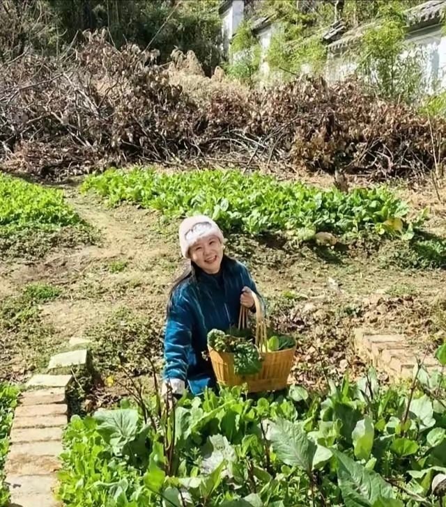 龚琳娜云南别墅装修6个月完工，环境超好，原木风开窗见景，院子大到能种菜种树，在院
