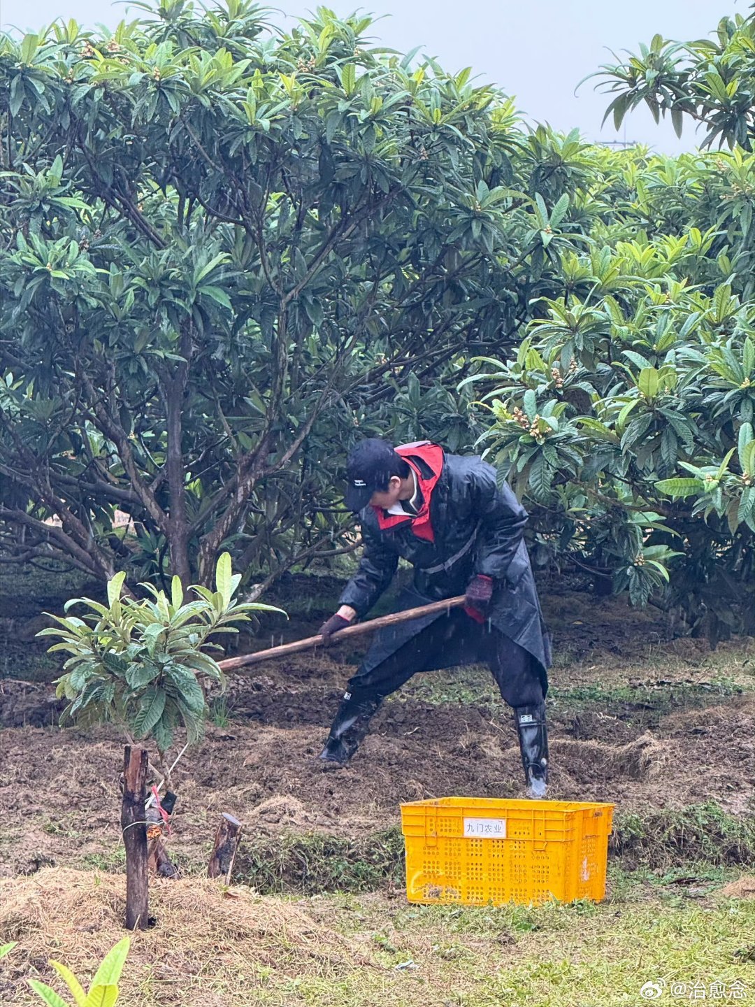 张凌赫张凌赫永远为自己是中国人而自豪张凌赫凌探未来收官文褪去明星光环踏实体验一线