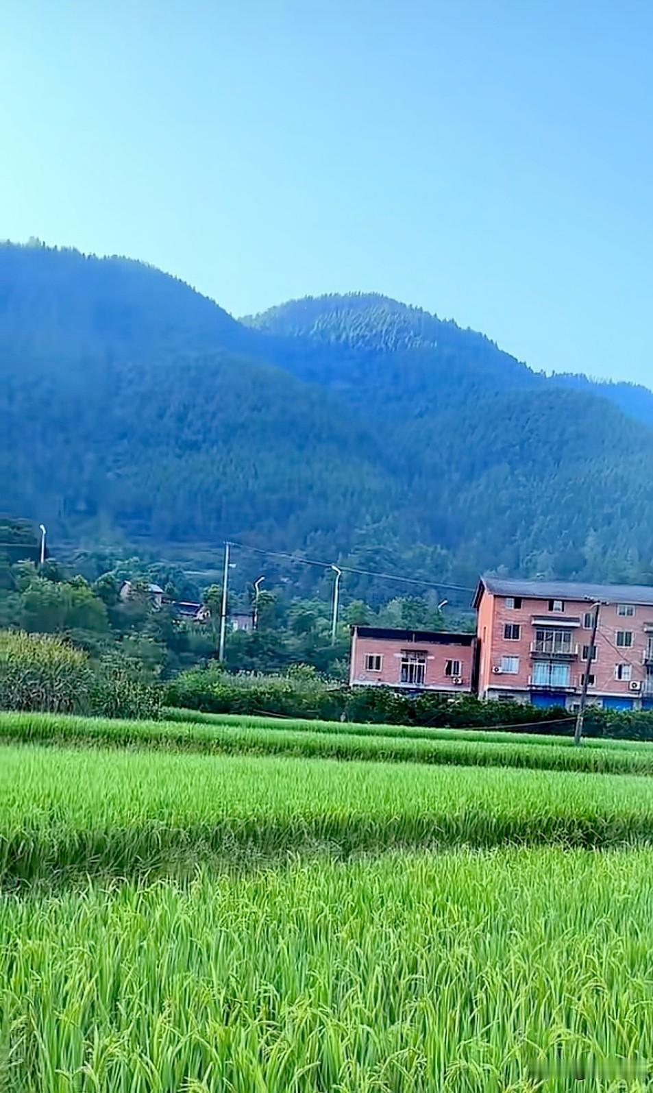 刚拍了张乡村风景照，给大家分享下。画面里，大山下立着一幢红砖房子，特别有韵味，就