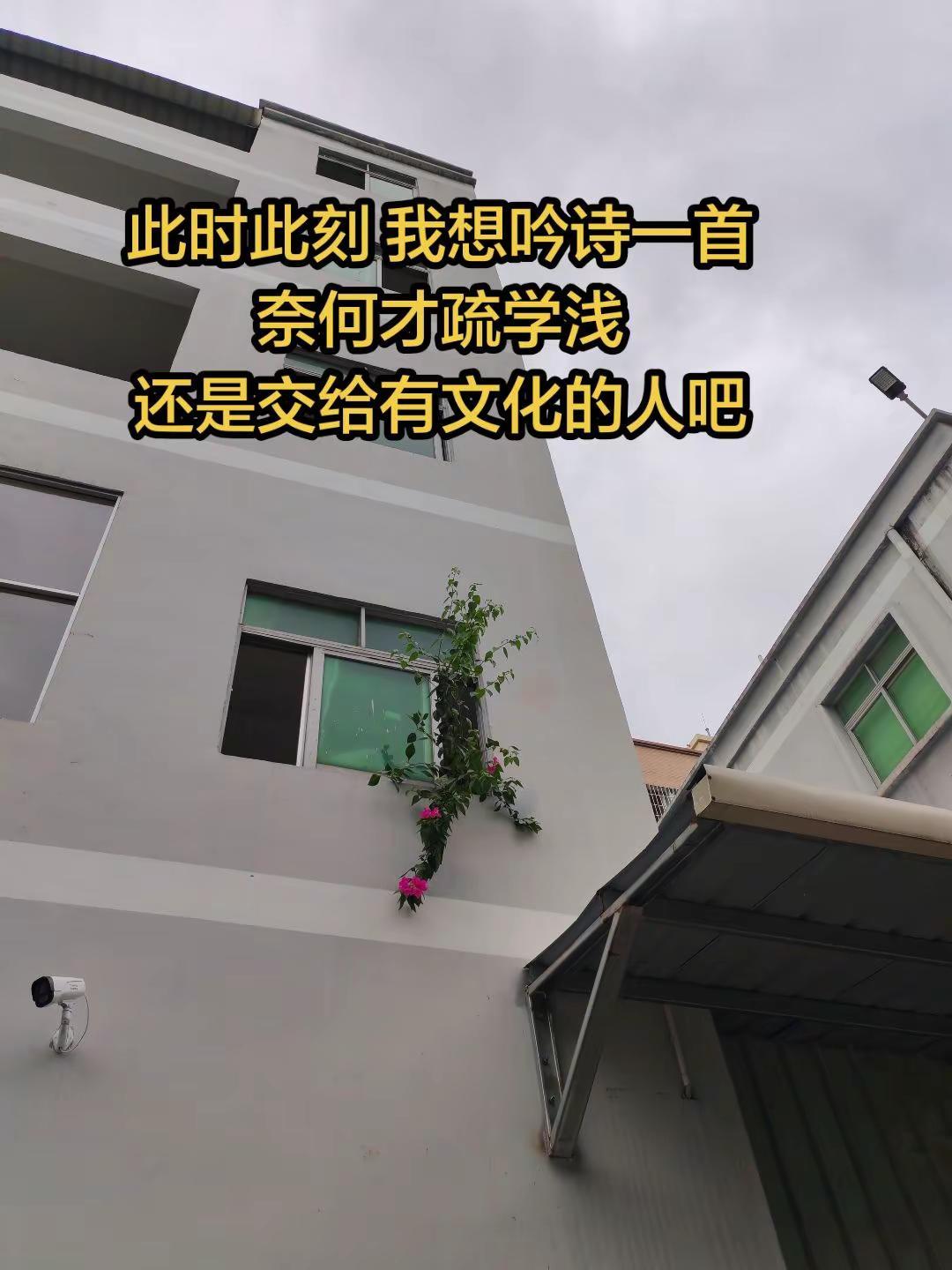 该你们上台表演了哦🤪🤪