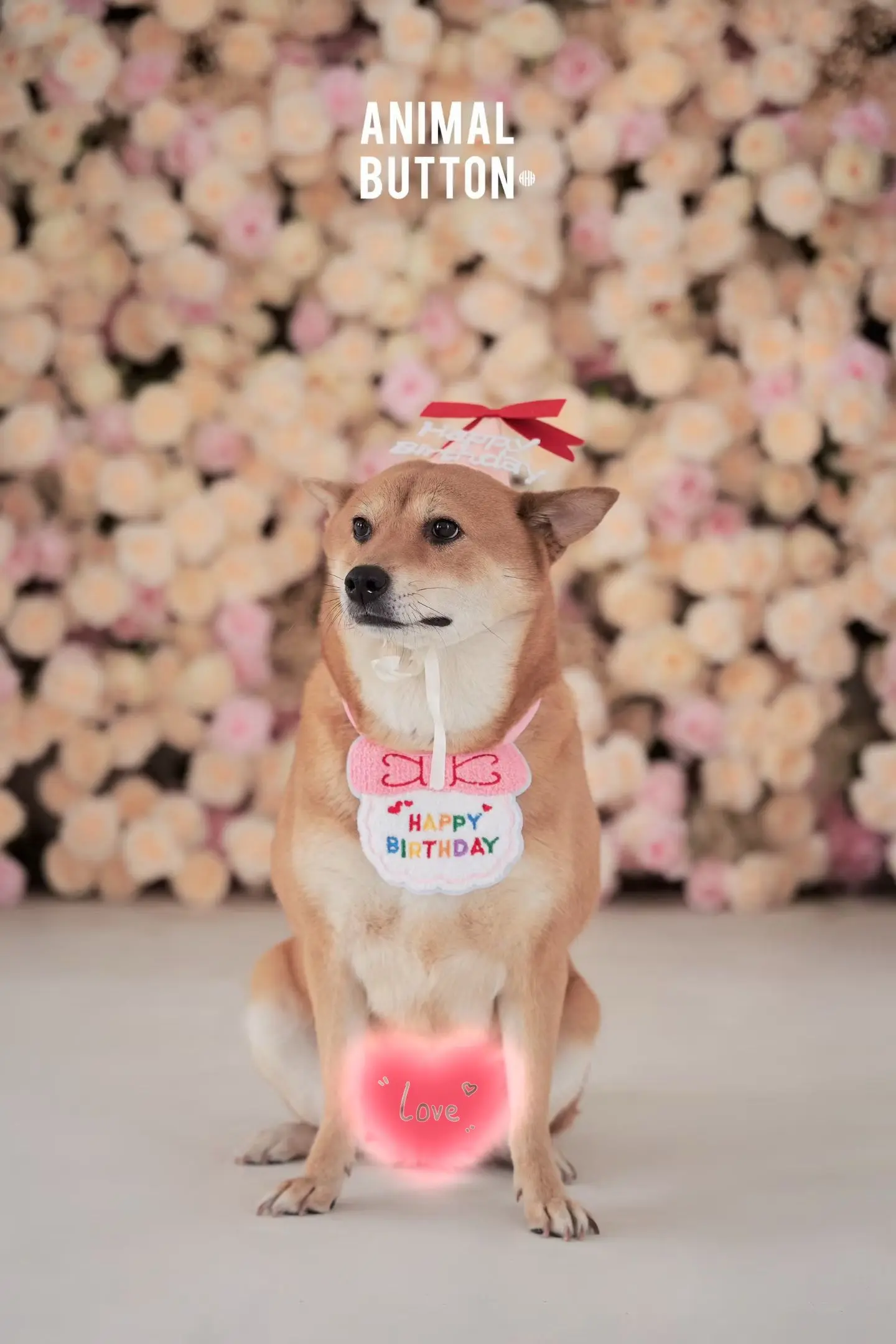 🎁生日快乐🎂🎊 我们无法交谈 却每一天都在彼此治愈的第8年 替你...