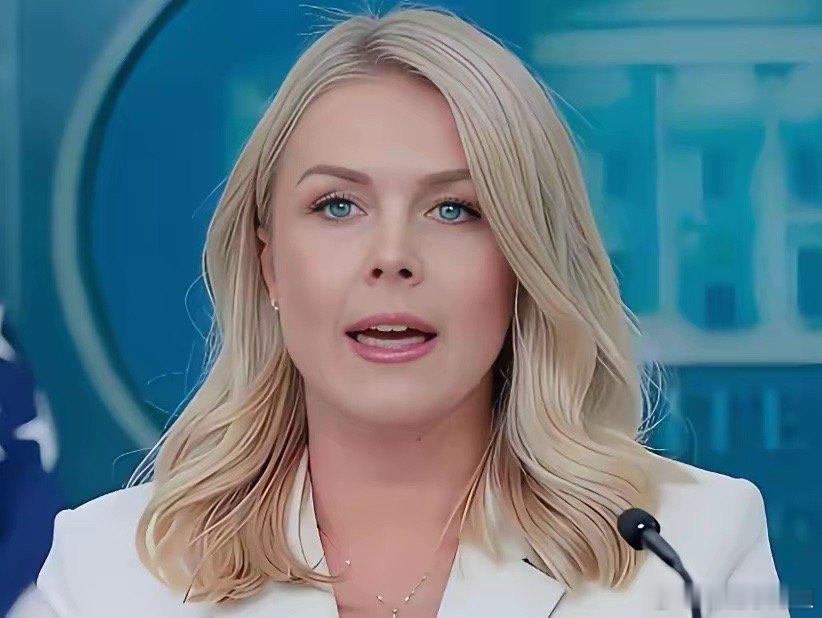 白宫新闻秘书莱维特近日在回应高市早苗涉台言论时说，特朗普总统认为，美国应该在与中