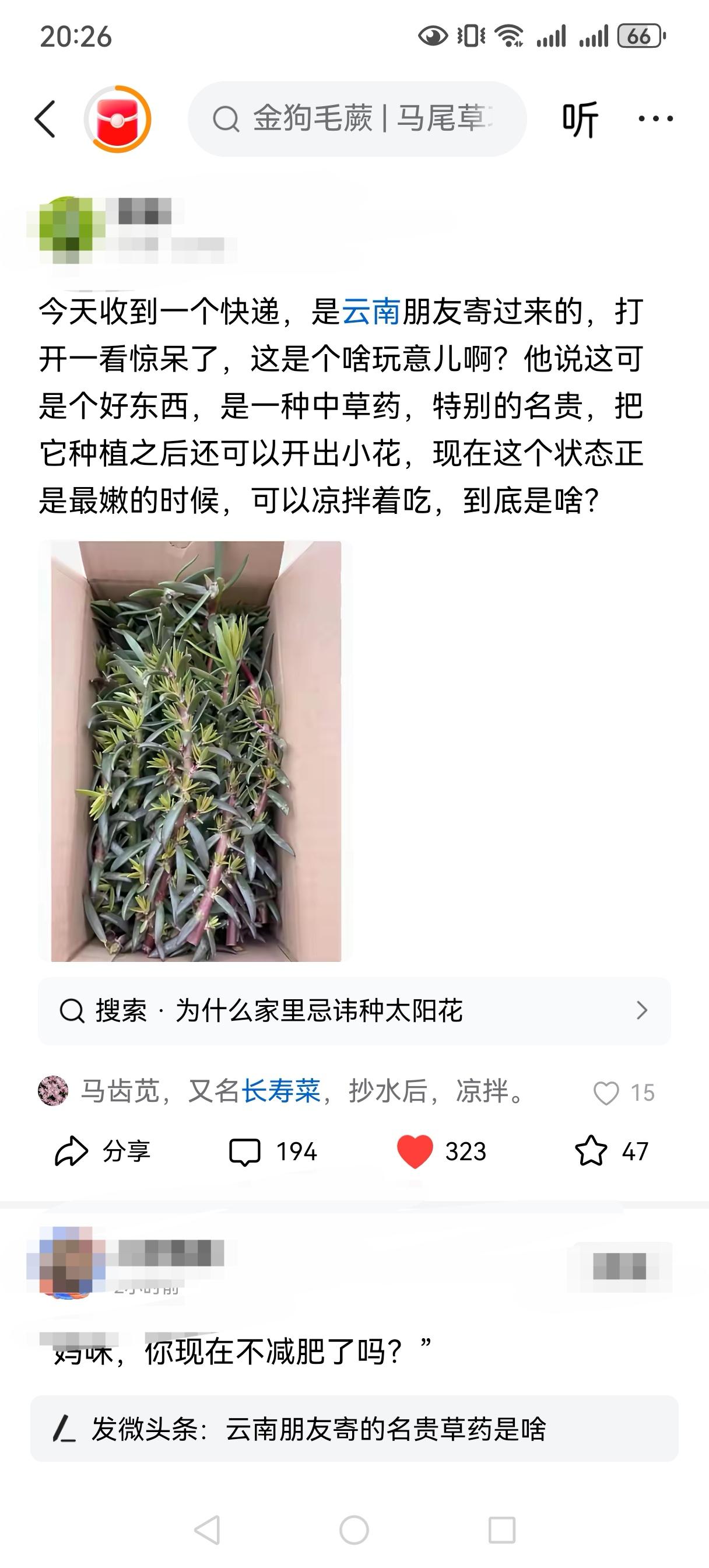 刚刚收拾好厨房，打开头条看看网友们的文章，和一个友友聊完“云南网友寄过来的奇怪的