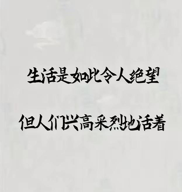 2024年终总结 认知决定一个人生命线的方向 我的文字你的故事 痛而不言笑而不语