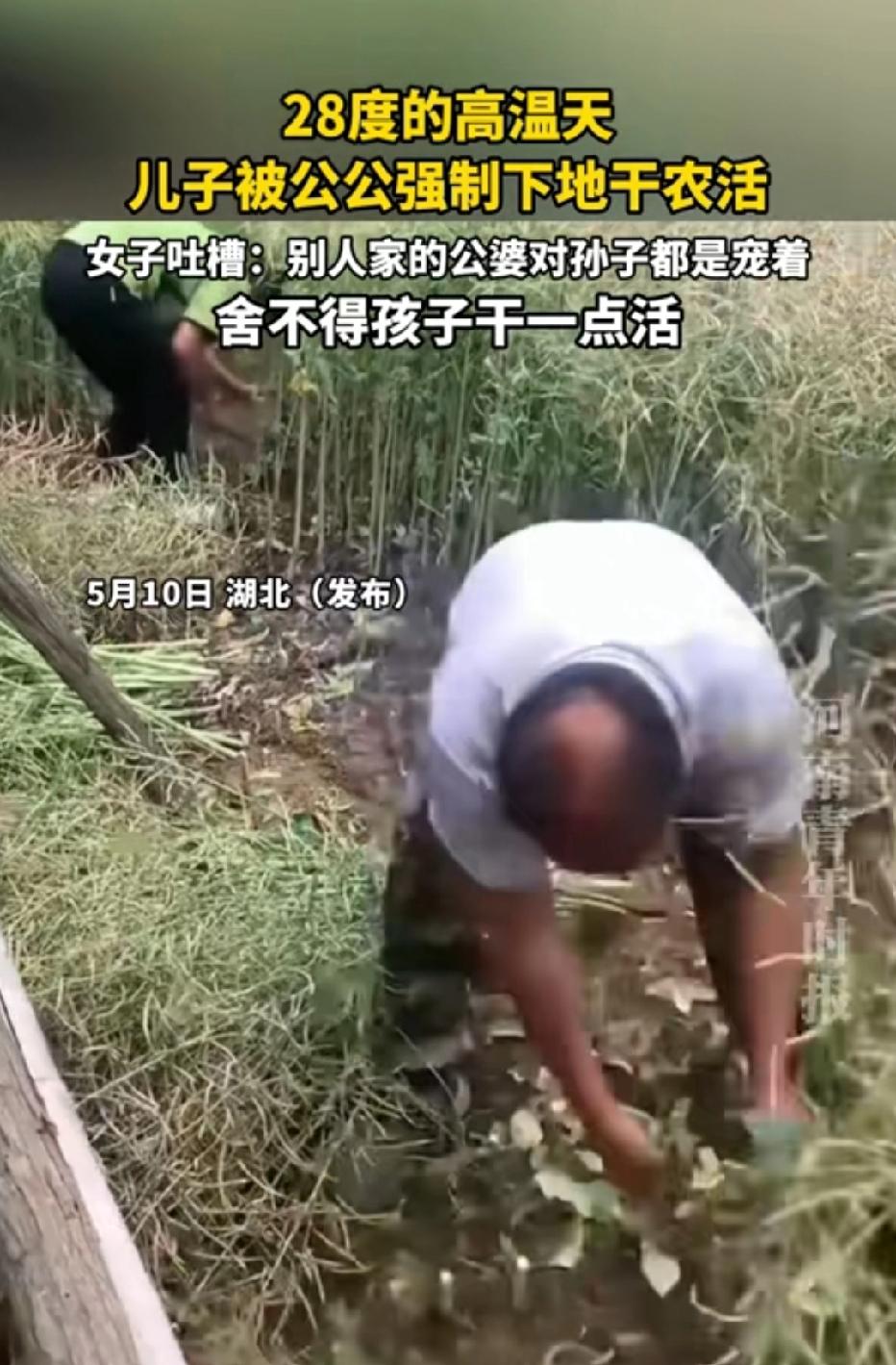 湖北，女子发文称:28℃大太阳的高温天，62岁公公非要逼14岁的儿子去田里干农活