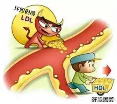 3.3亿人患有心血管病，如何拯救我们的血管？1、控制饮食：饮食是预防和治疗心血管