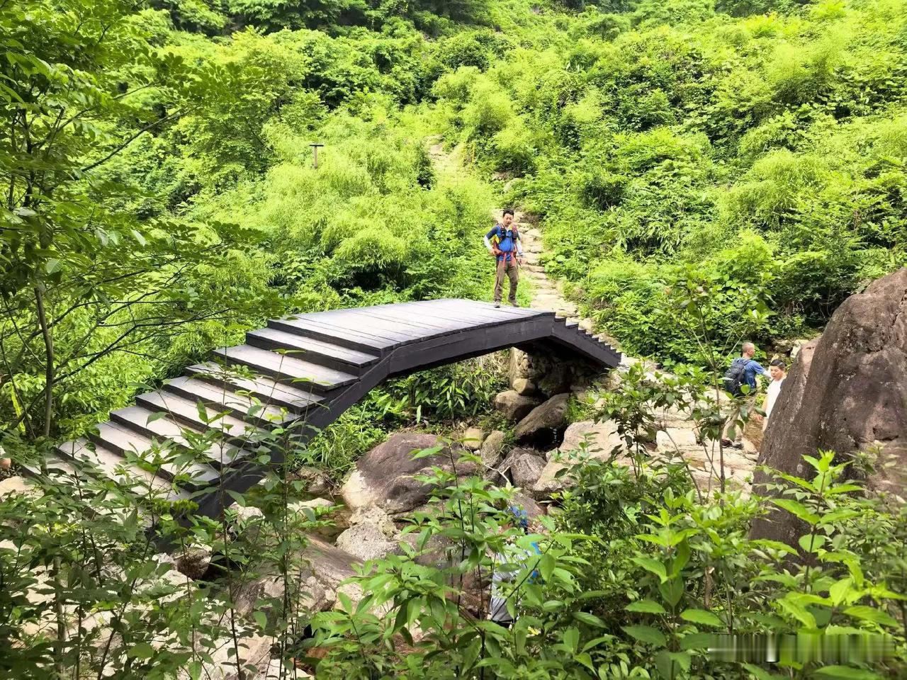 阿东妈来了，带来了紫色的杨梅，说是山上去采的，这味道真甜，的确要谢谢她了。

阿