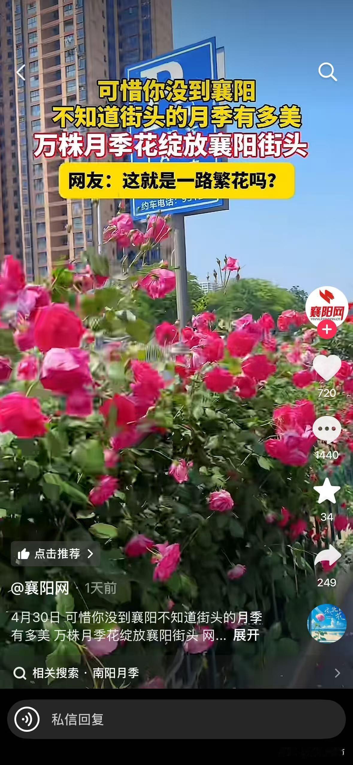 南阳人会心一笑