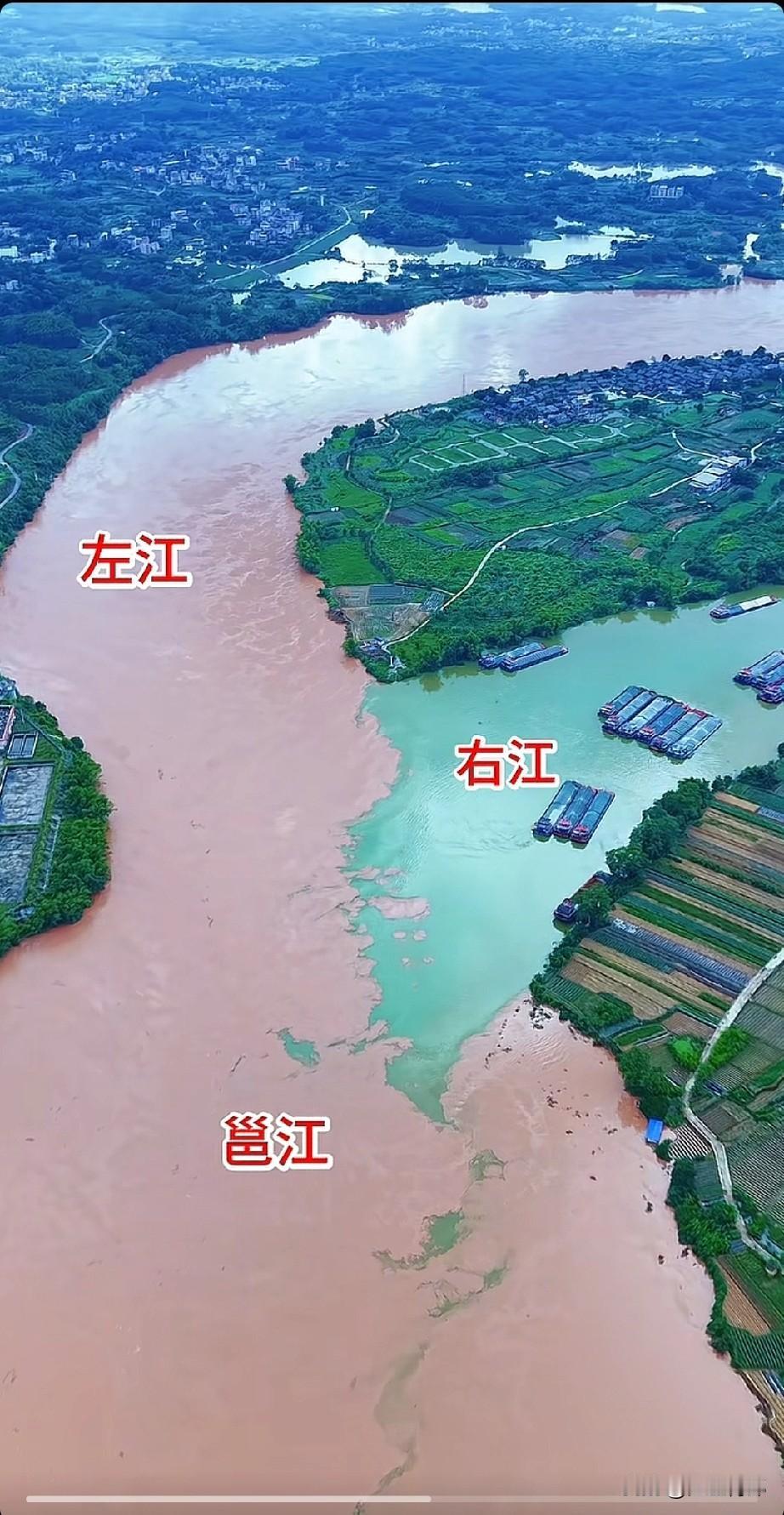 广西的左江、右江水质差别咋这么大，简直泾渭分明。而且，右江好像能通航，那么多货船