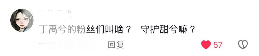 《丁禹兮的粉丝叫啥？守护甜兮嘛？》 