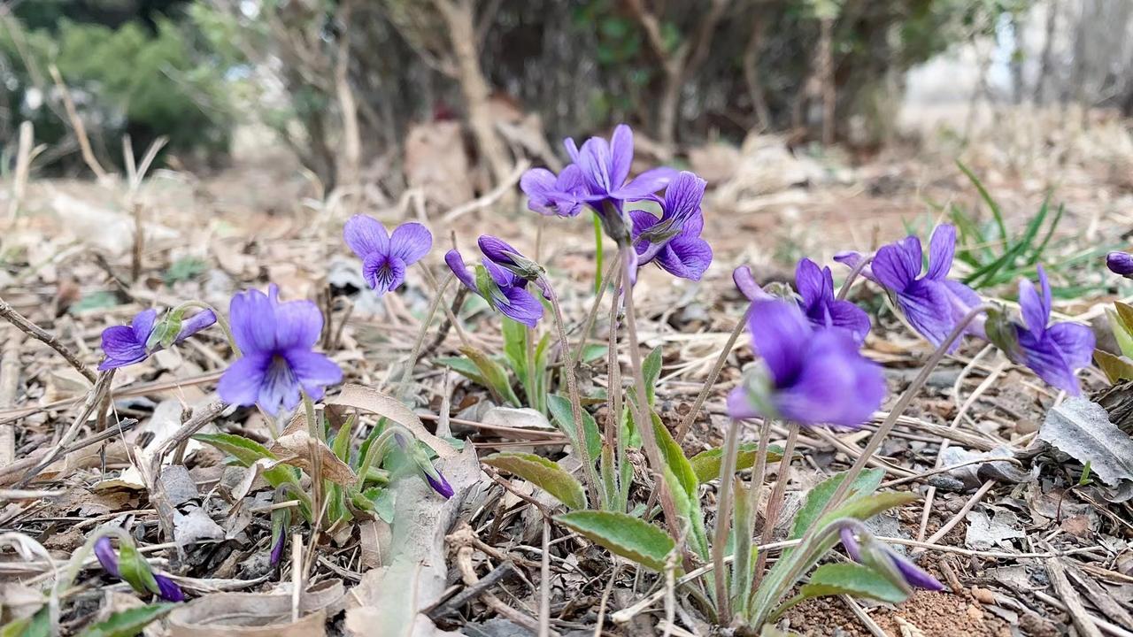 标不标明能怎样？既然选择去餐厅吃，就不要考虑这些，如果考虑这些那就在家自己做好了