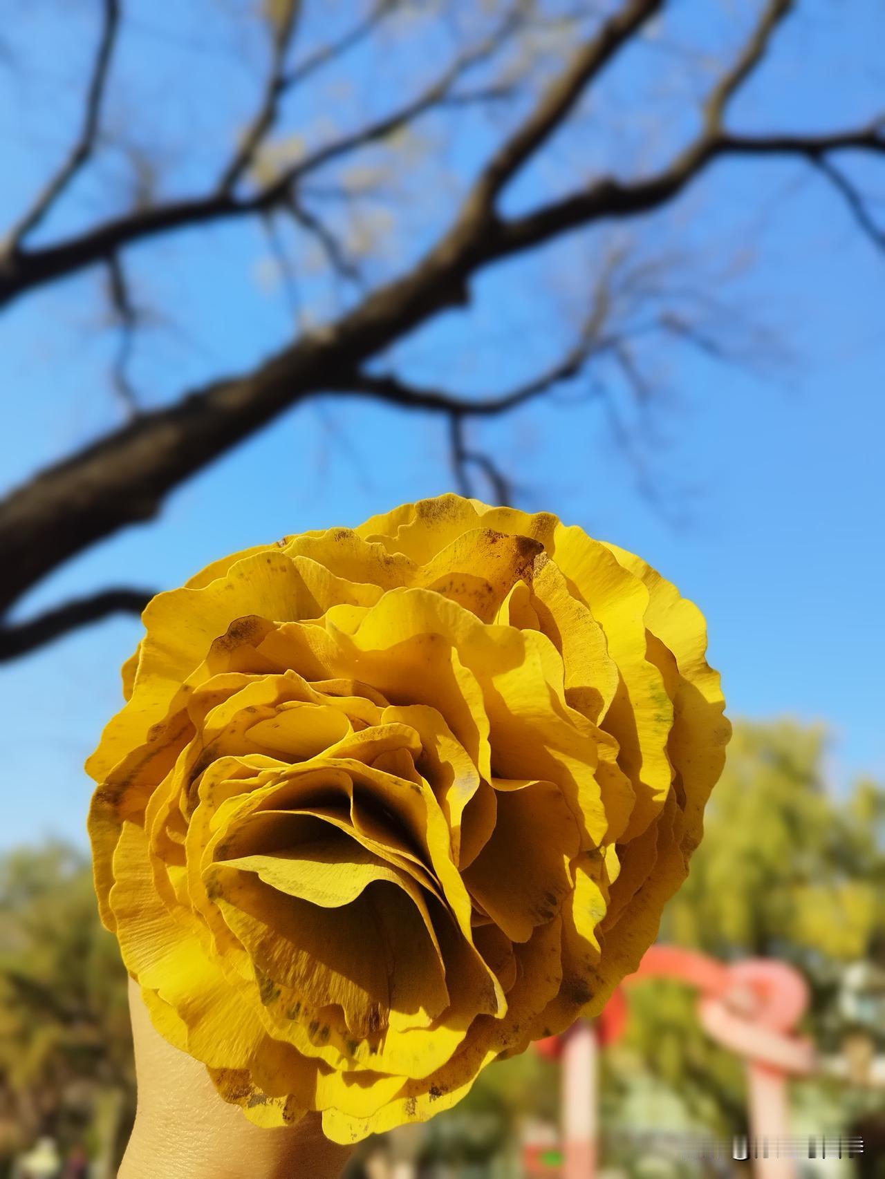 在头条只要你坚持写，每天都会有几分几毛几块或者几十上百的收入，这些个数字我都得到