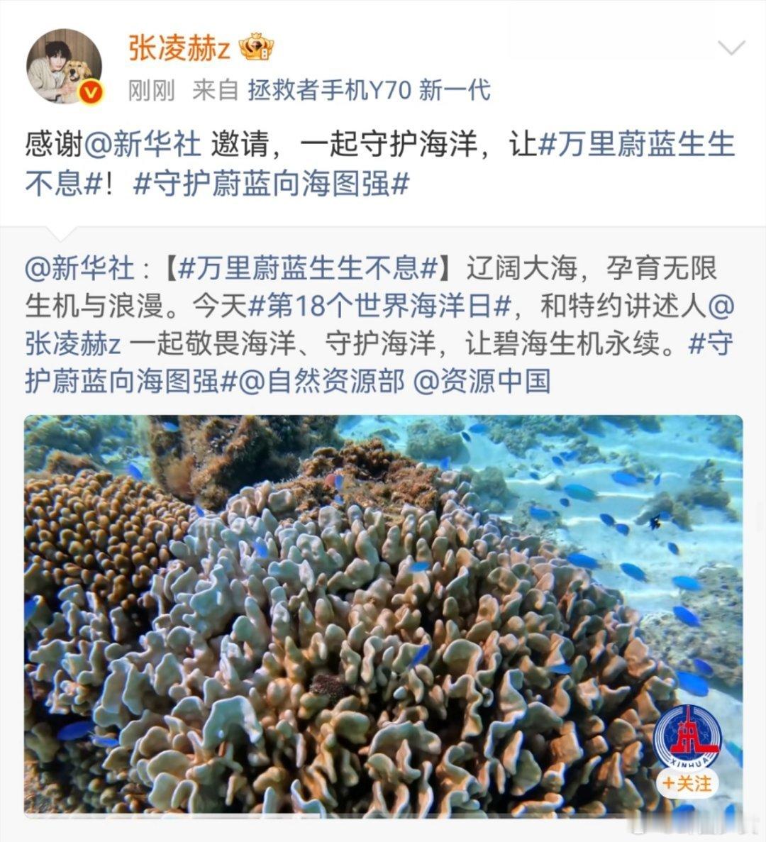 张凌赫成为世界海洋日特约讲述人张凌赫世界海洋日特约讲述人 优秀的公众人物担当，以