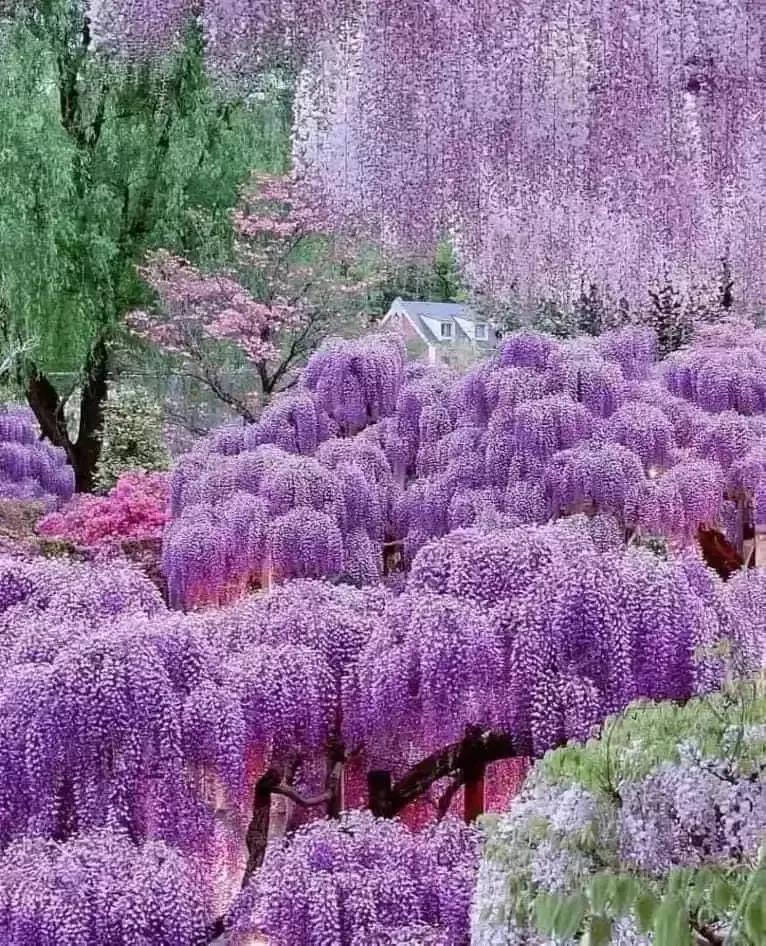 生活中，每日都会萌生新的感悟。就如“生活不是一场赛跑，而是一次旅行，要懂得好好欣