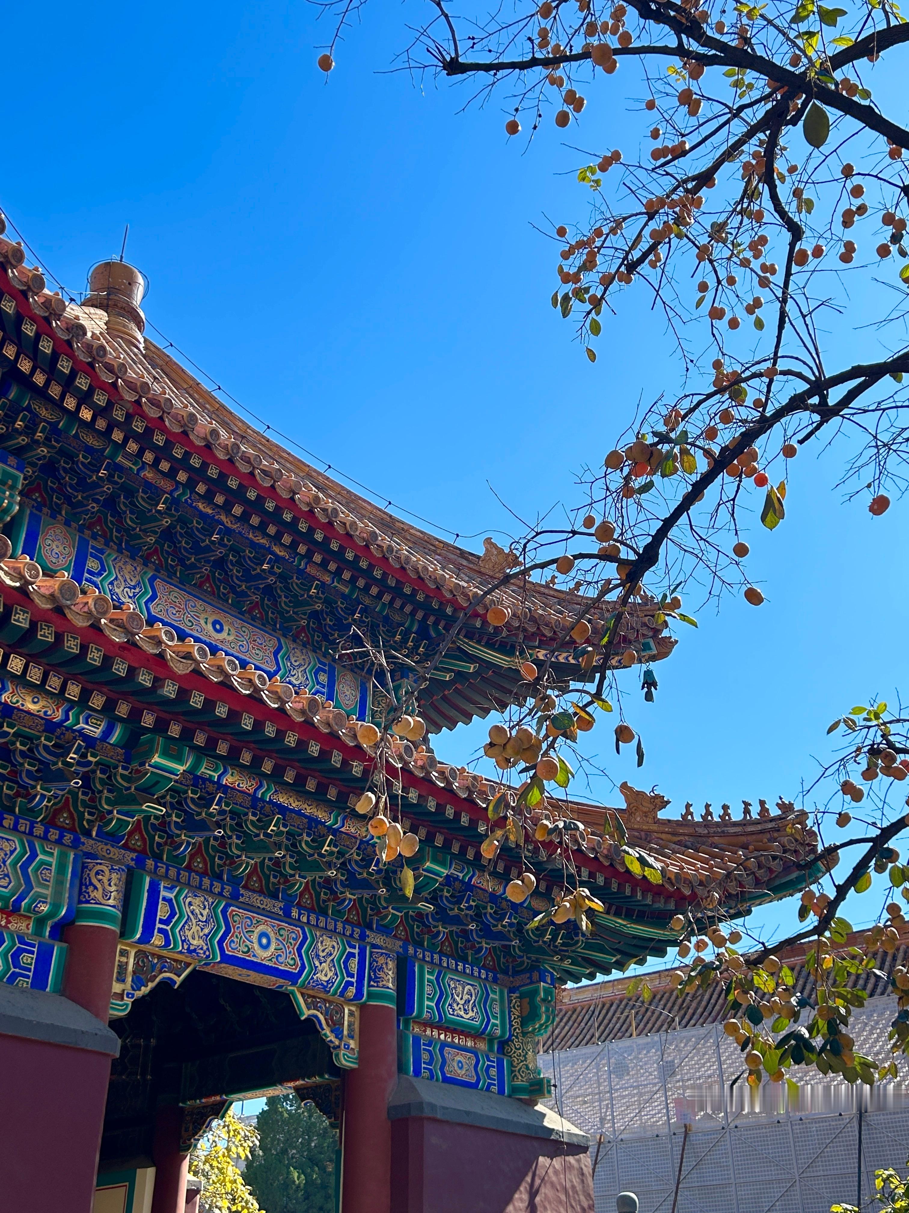 快乐北京18图🫶🏻  ​​​