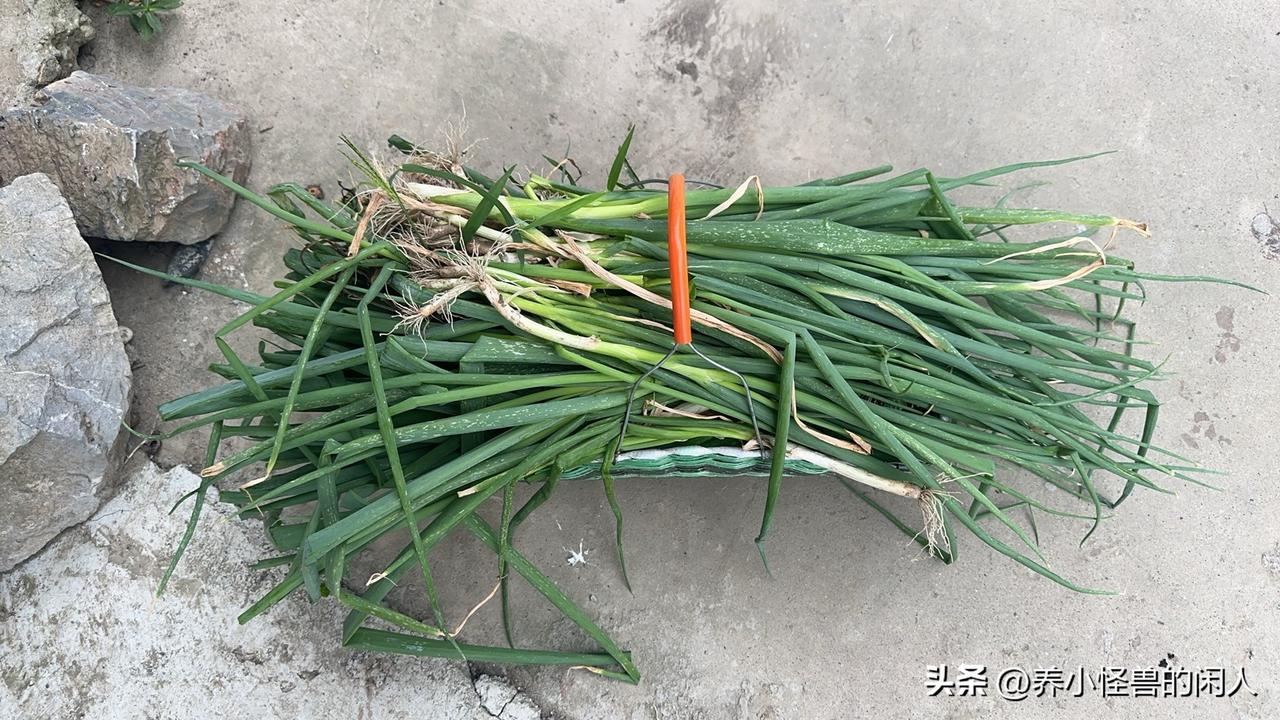 负债人的生活，也会有点甜

今天休息，回了趟妈妈家，走的时候，又提了大包小包、青