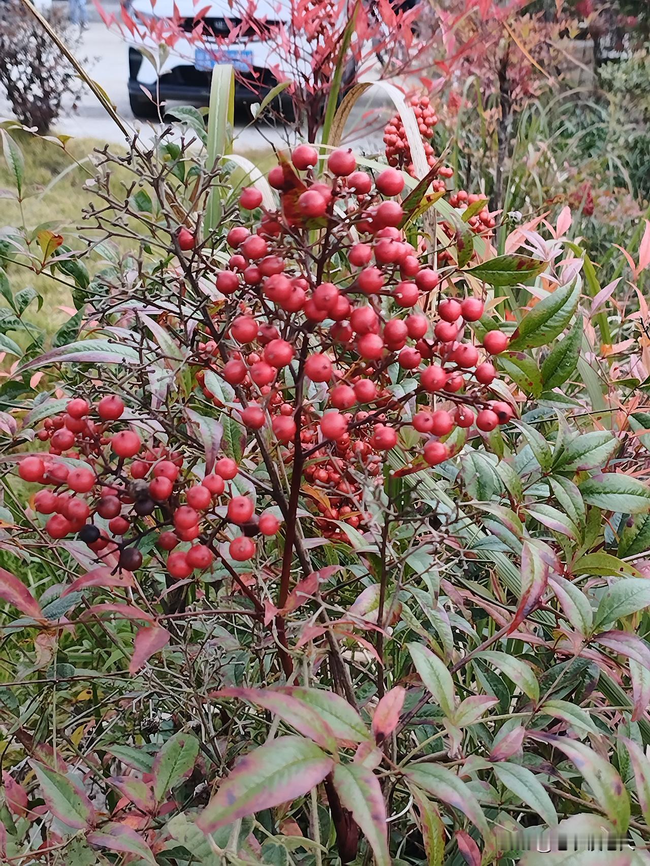 人生最宝贵的，原来是那些钱买不来的东西：身边的热闹，身上的力气，和心里的光亮。
