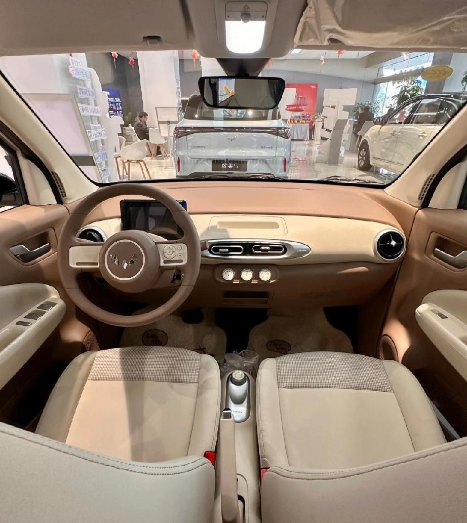 这就是赤裸裸的真实情况哦！

看了五菱宏光MINIEV家族的销量，我不禁心里很高