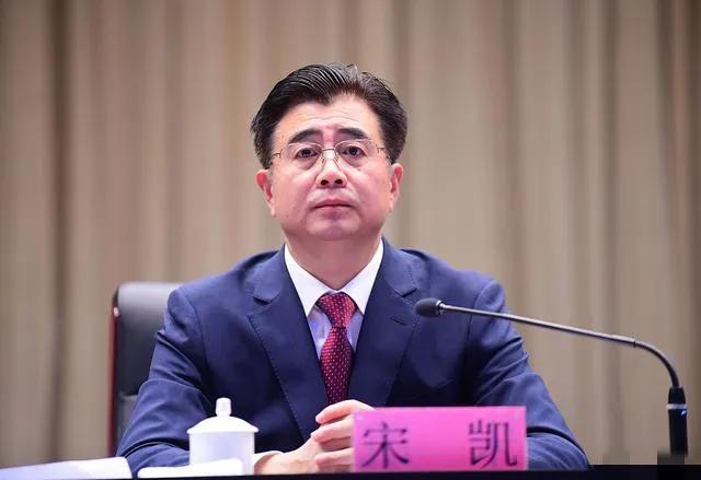 不懂就问，为什么只有宋凯参选新一届足协主席？
是其他人没资格，还是其他人不愿意当