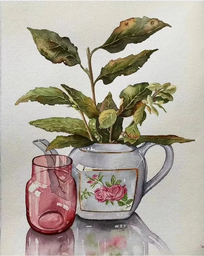 Serpil Umit｜玻璃器皿水彩作品 