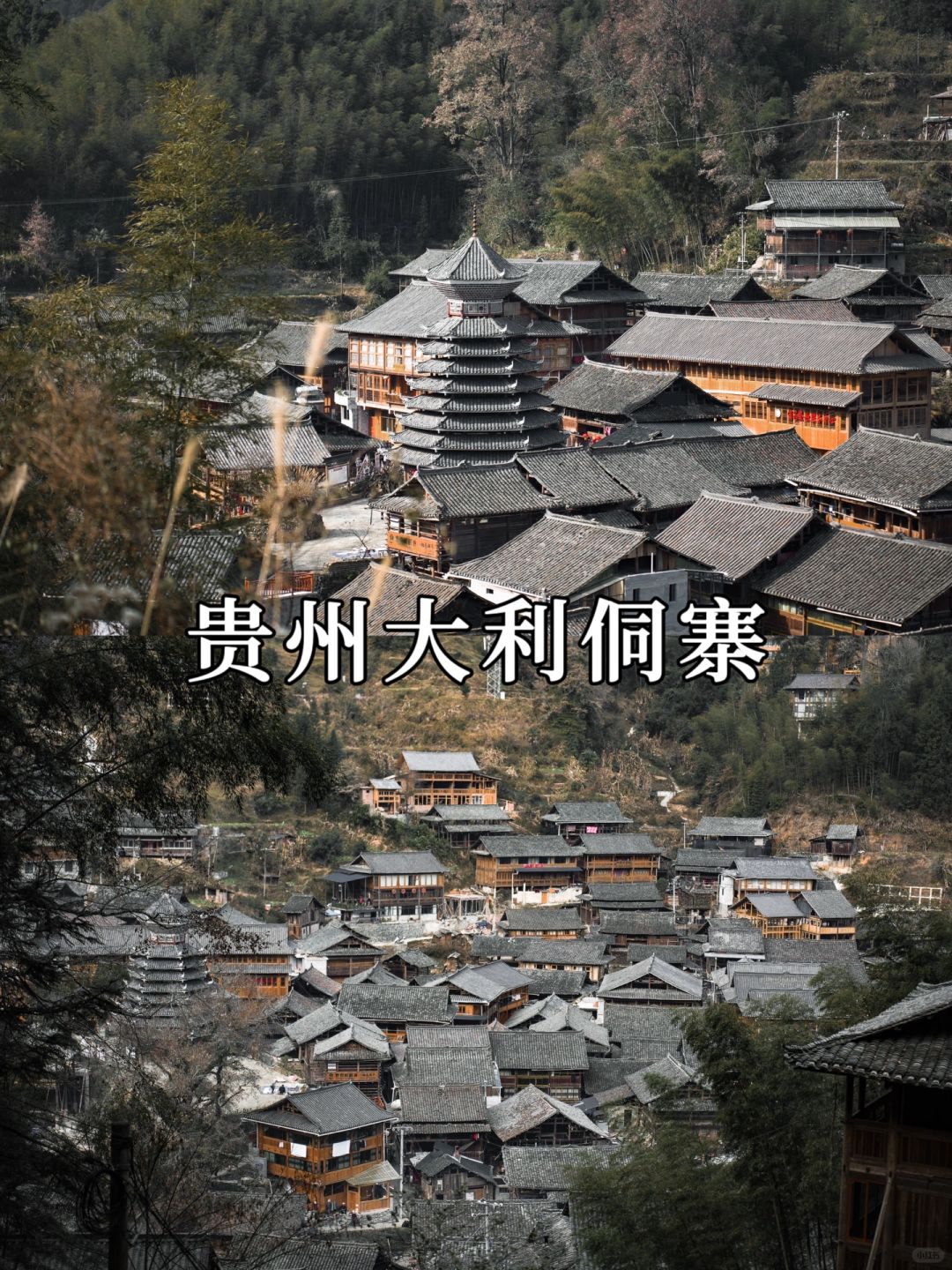 我在黔东南发现了一个原生态村寨--大利侗寨
大利侗寨，坐落于黔东南的深山幽谷之中...