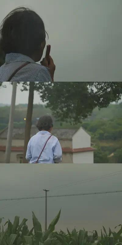 真不明白，农村老人为什么这么抗拒去养老院？
这几天，我都不敢跟我老娘联系了，只是