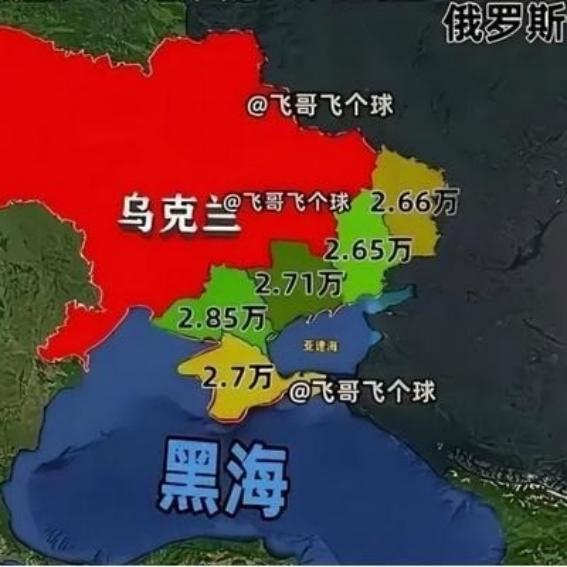 一旦大陆被逼出手解决台湾问题，战局可能转瞬即逝，台海不是乌克兰，中国也不是俄罗斯