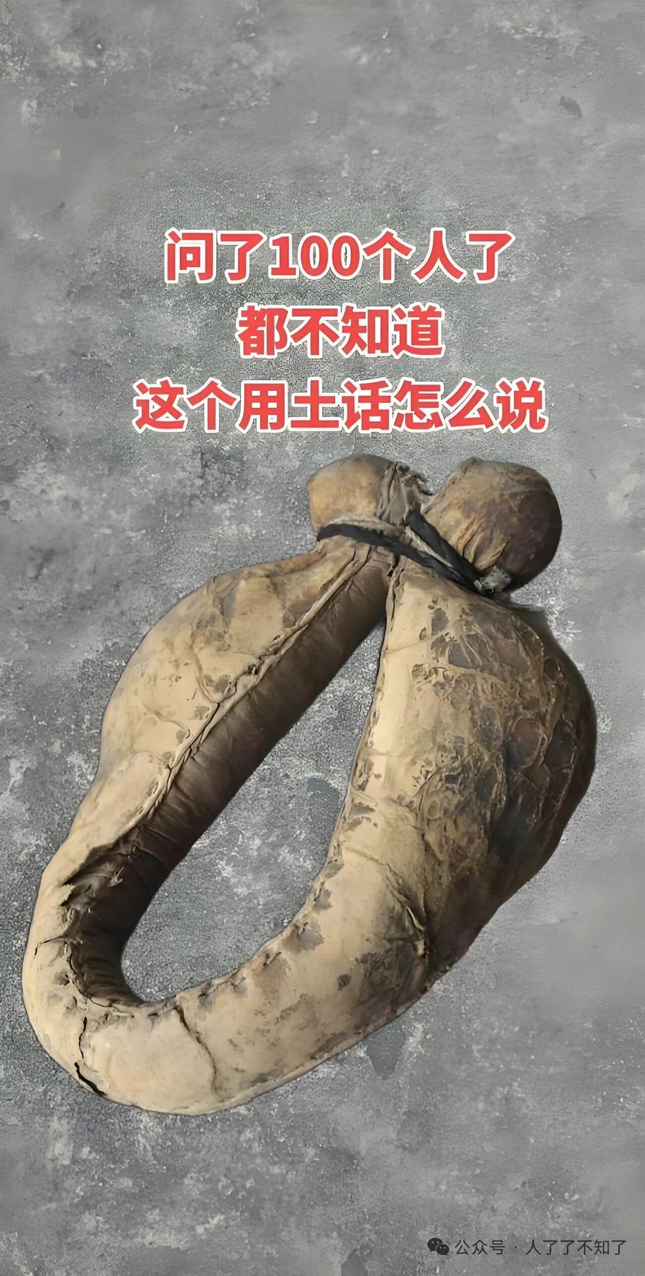 这个“老东西”是啥玩意儿？