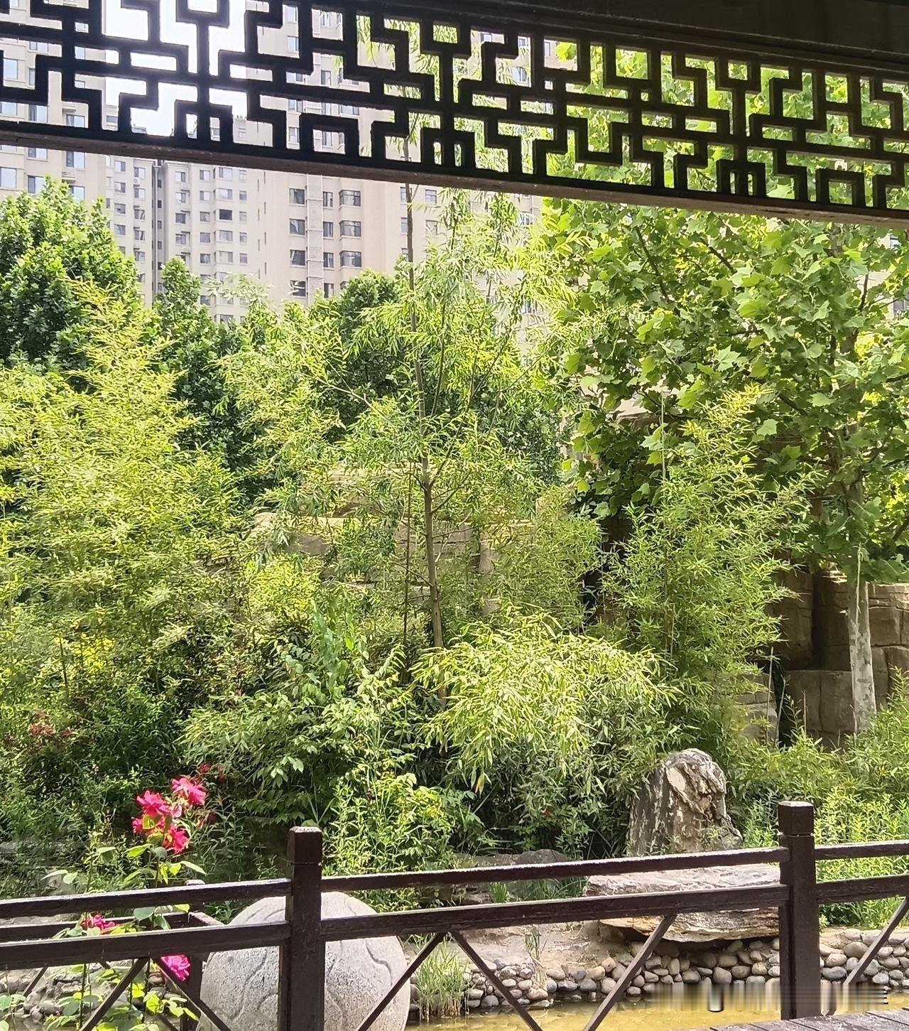 明白，遵命。