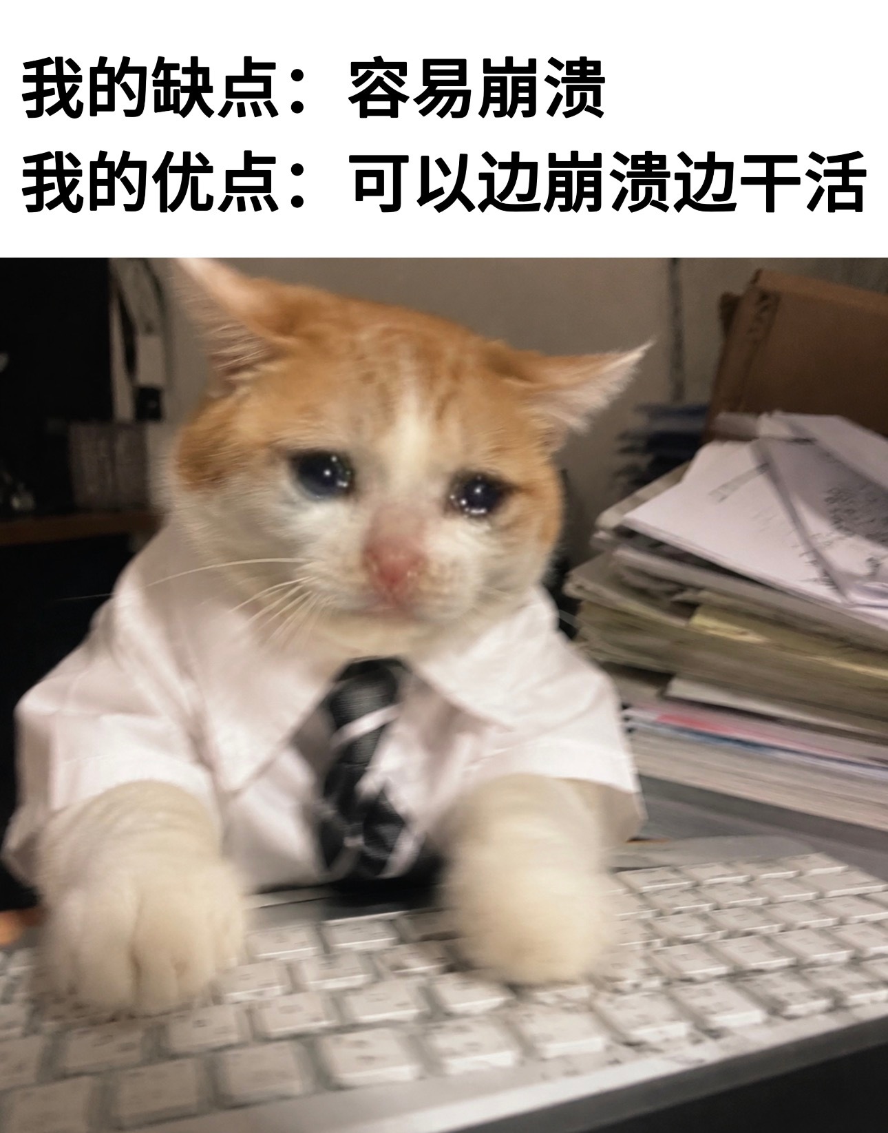 德拉科的优缺点： 