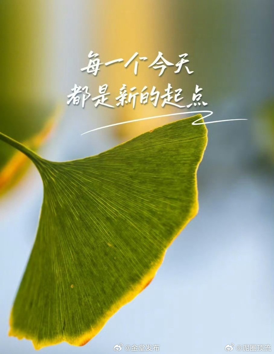 一缕清风拂面来，愿你的一天充满清新与美好。早安！ ​ ​​​