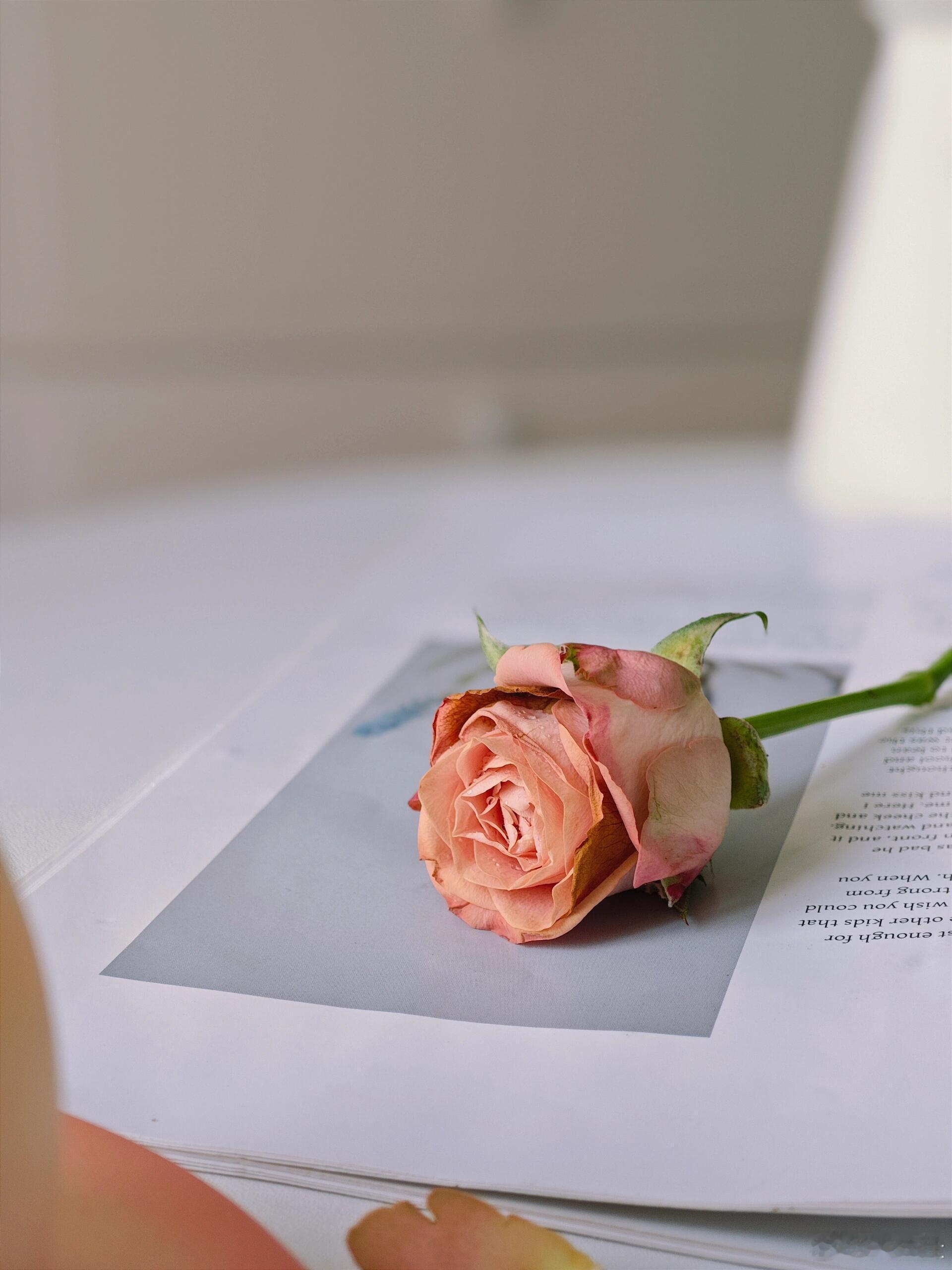 我把骄傲折好，收在没人看见的抽屉里。情感生活100中表达爱的方式