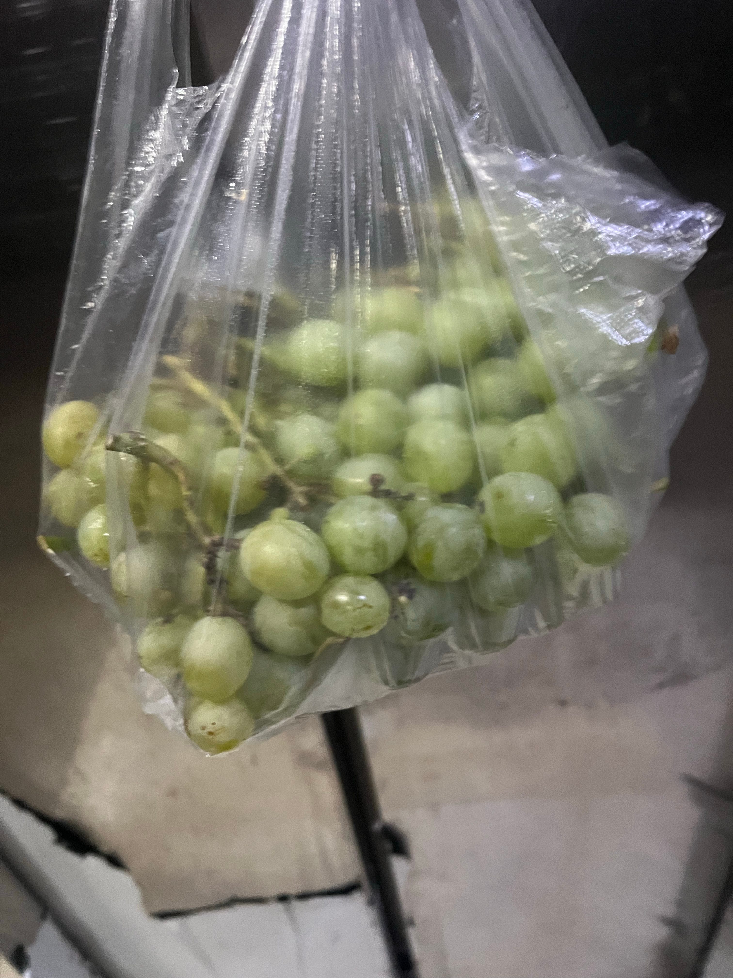 我家葡萄又经历了一季的繁华落幕！        目测我家葡萄每季都会收获一百多斤