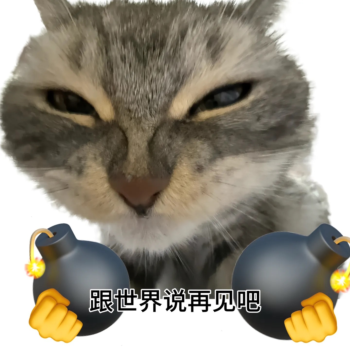 现在投诉都是默认拉黑啊？我说我刚做完反嘿咋关注少了一波人呢有些阴阳怪气的yxh既